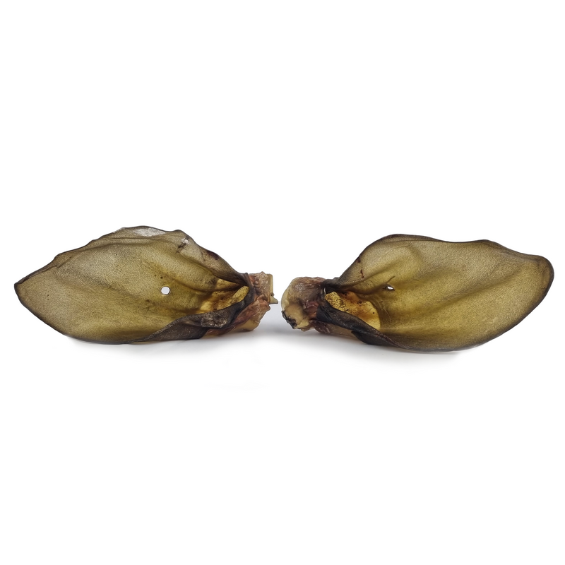 Oreille de boeuf