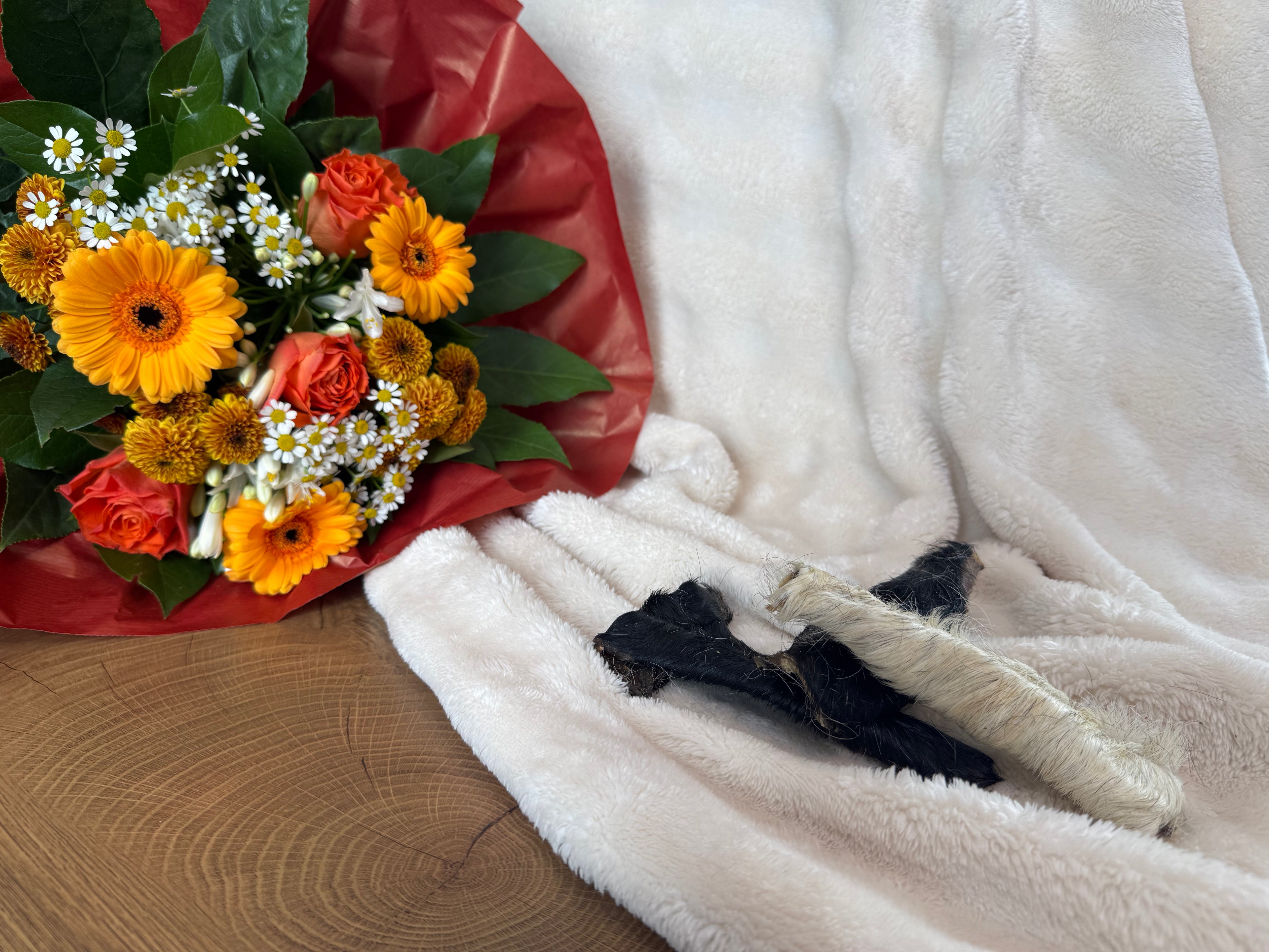 Peau de boeuf 15cm avec poils