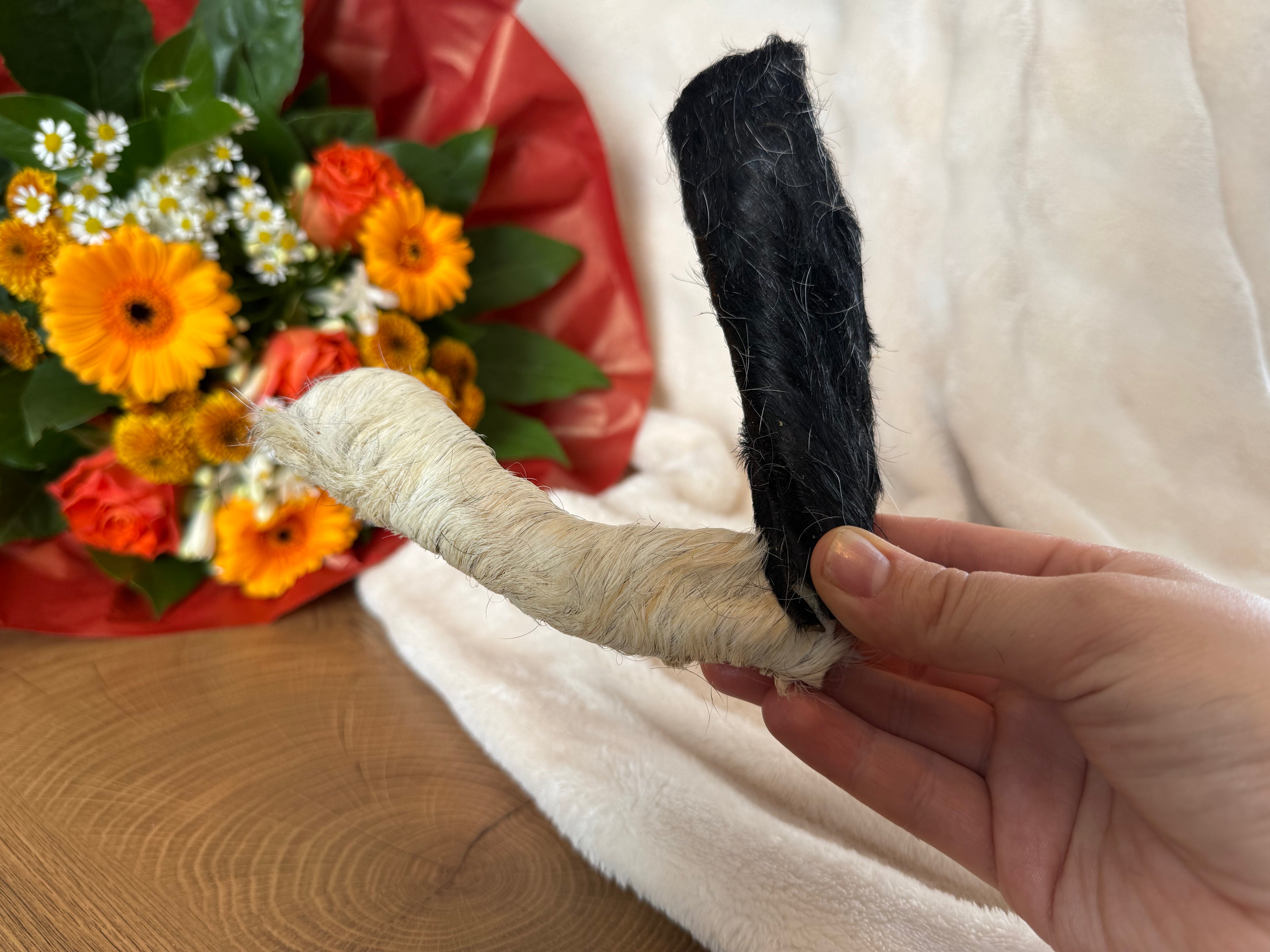 Peau de boeuf 15cm avec poils