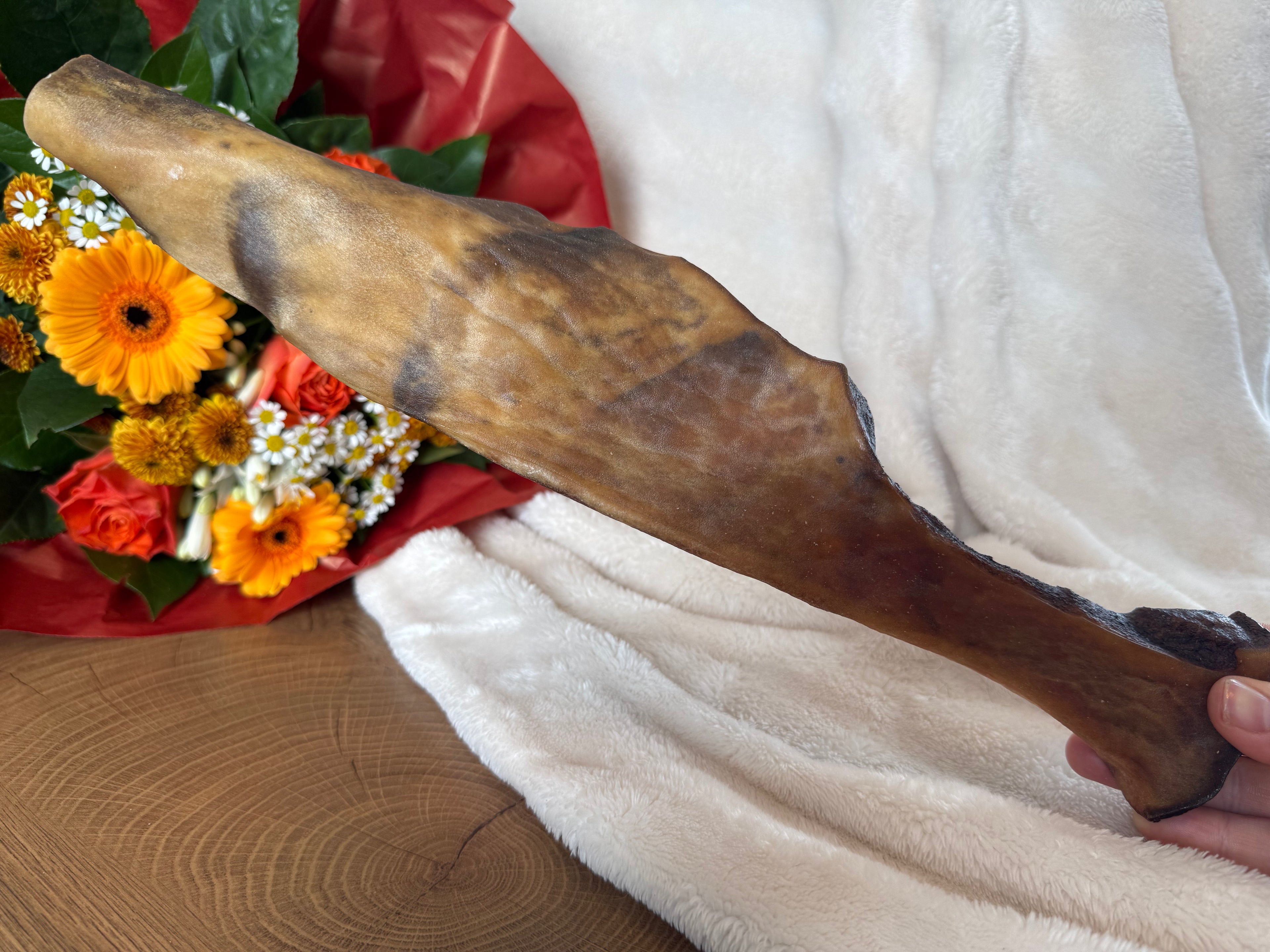 Peau de chameau 40cm