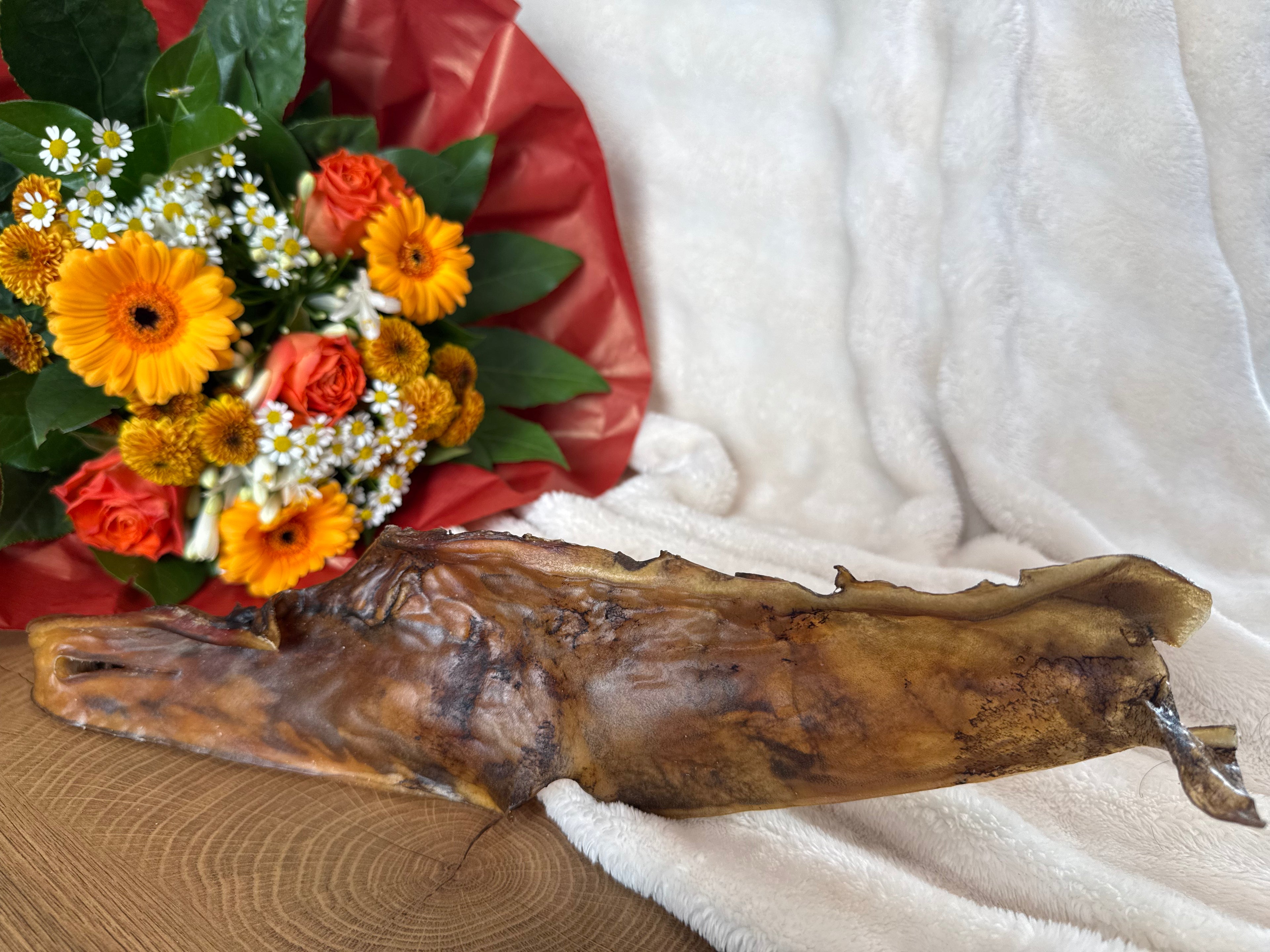 Peau de chameau 40cm