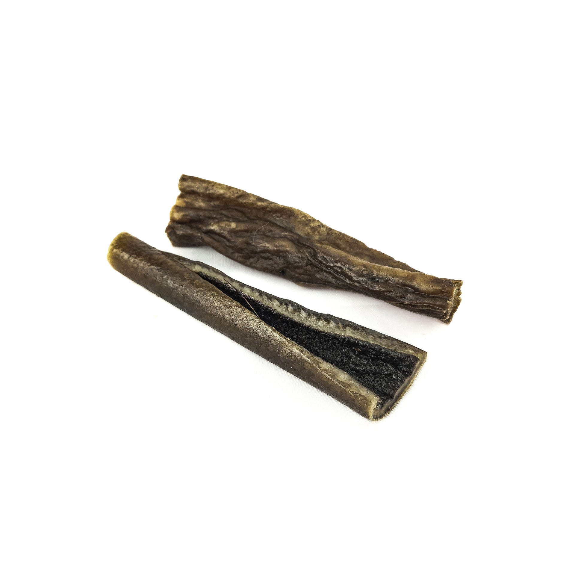 Peau de sanglier 15CM